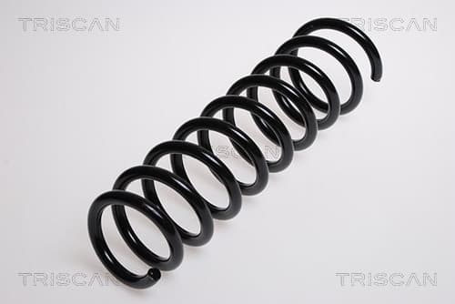 Spiralfjäder bak från TRISCAN