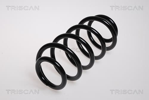 Spiralfjäder fram från TRISCAN