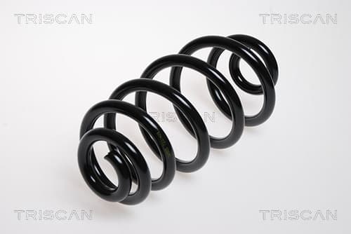 Spiralfjäder bak från TRISCAN