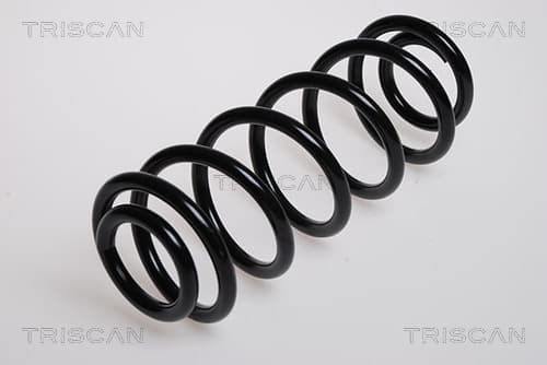 Spiralfjäder bak från TRISCAN