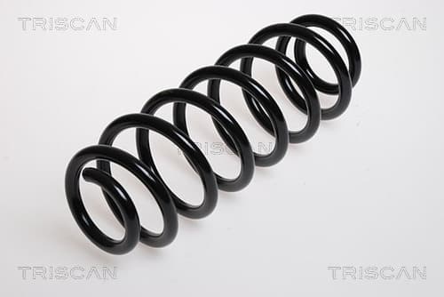 Spiralfjäder bak från TRISCAN