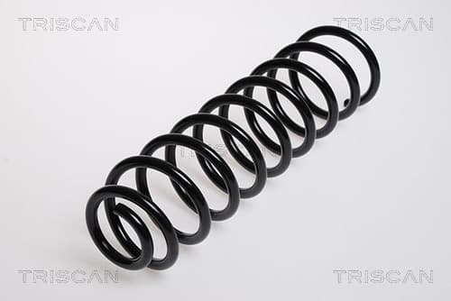 Spiralfjäder bak från TRISCAN