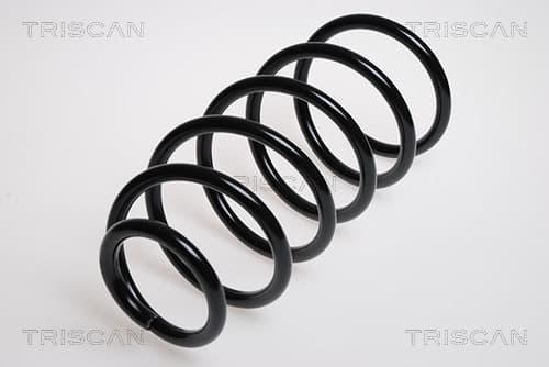 Spiralfjäder fram från TRISCAN