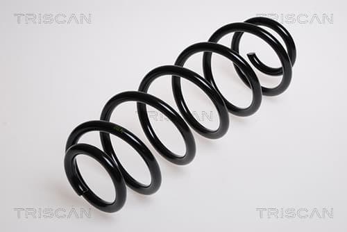 Spiralfjäder bak från TRISCAN