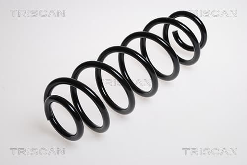 Spiralfjäder bak från TRISCAN