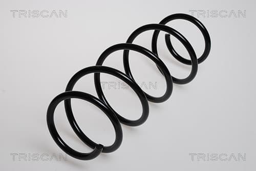 Spiralfjäder fram från TRISCAN
