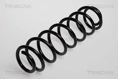 Spiralfjäder bak från TRISCAN