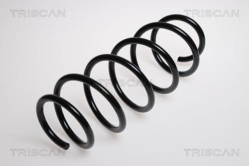 Spiralfjäder fram från TRISCAN