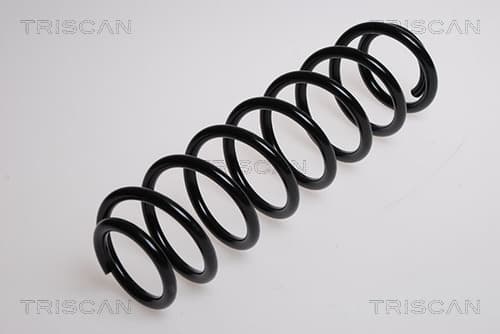 Spiralfjäder bak från TRISCAN