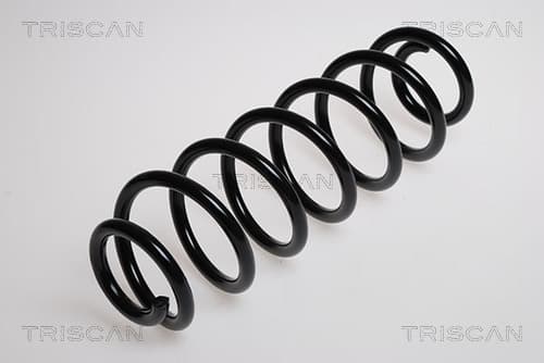 Spiralfjäder bak från TRISCAN