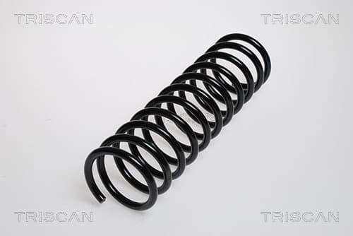 Spiralfjäder bak från TRISCAN