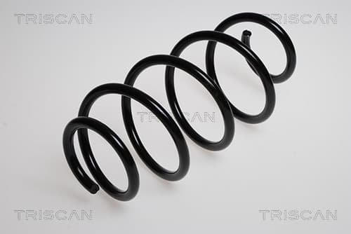 Spiralfjäder fram från TRISCAN