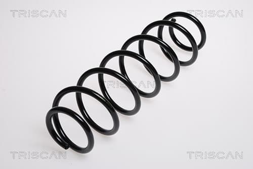 Spiralfjäder bak från TRISCAN