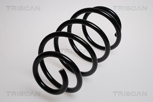 Spiralfjäder fram från TRISCAN
