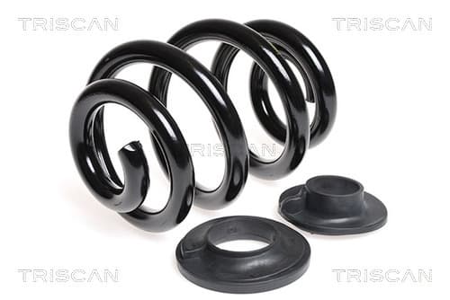 Spiralfjäder bak från TRISCAN
