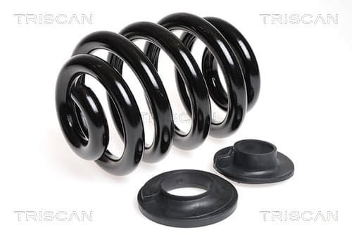 Spiralfjäder bak från TRISCAN
