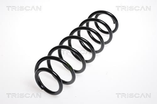 Spiralfjäder bak från TRISCAN