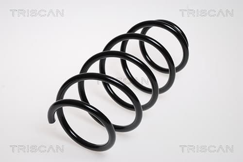 Spiralfjäder fram från TRISCAN