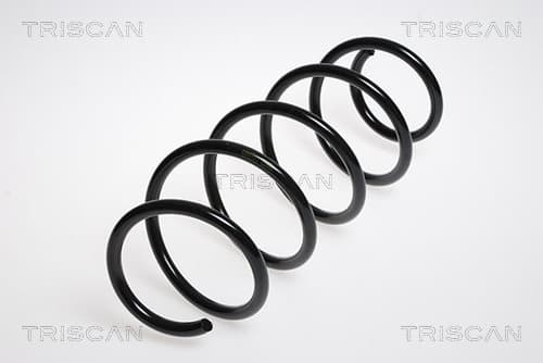 Spiralfjäder fram från TRISCAN