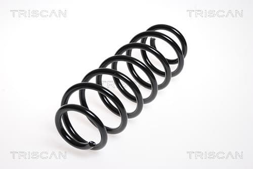 Spiralfjäder bak från TRISCAN