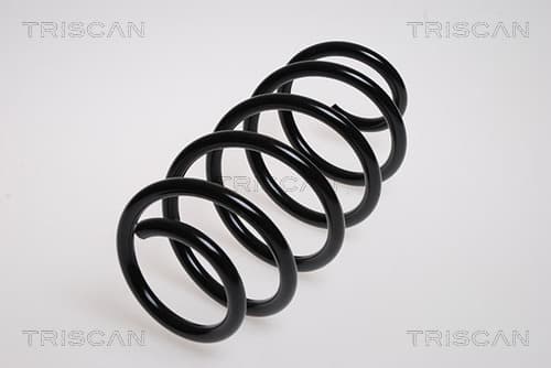 Spiralfjäder fram från TRISCAN