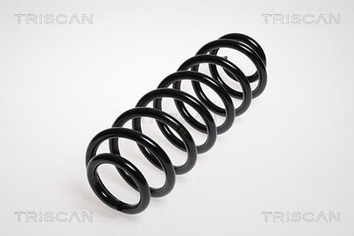 Spiralfjäder bak från TRISCAN