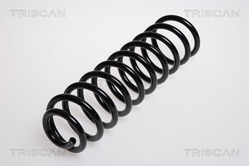 Spiralfjäder bak från TRISCAN