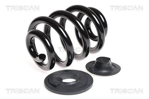 Spiralfjäder bak från TRISCAN
