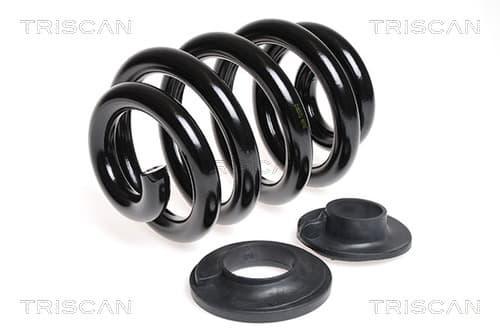 Spiralfjäder bak från TRISCAN