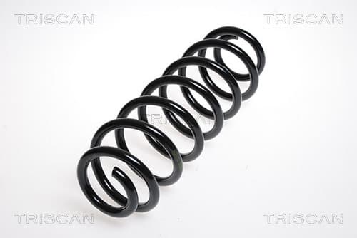 Spiralfjäder bak från TRISCAN