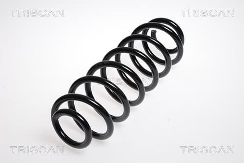Spiralfjäder bak från TRISCAN