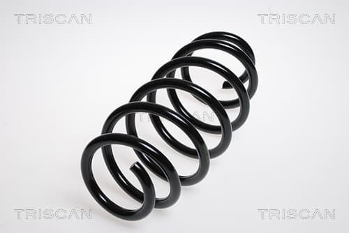 Spiralfjäder fram från TRISCAN