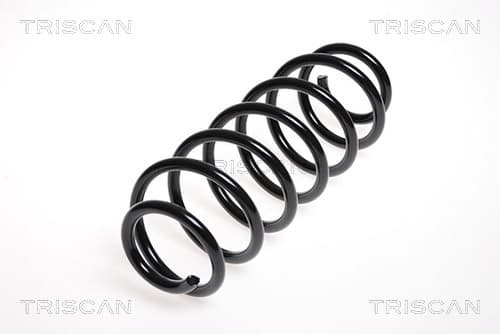 Spiralfjäder bak från TRISCAN