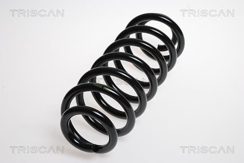 Spiralfjäder bak från TRISCAN
