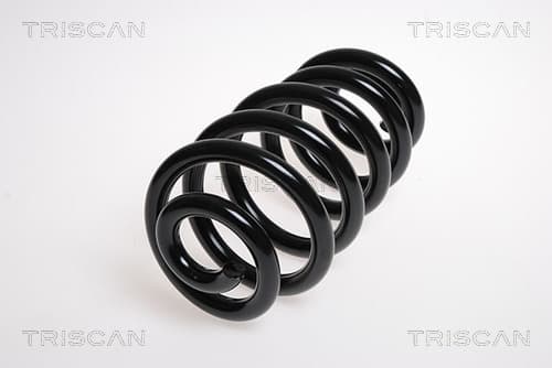 Spiralfjäder bak från TRISCAN
