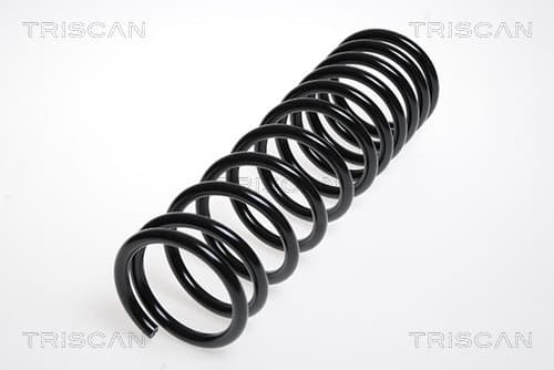 Spiralfjäder bak från TRISCAN