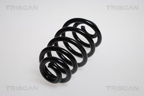 Spiralfjäder bak från TRISCAN