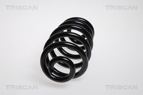 Spiralfjäder bak från TRISCAN