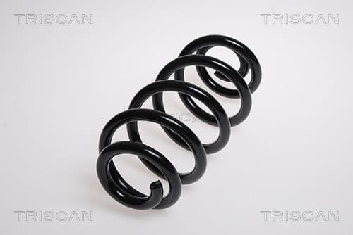 Spiralfjäder bak från TRISCAN