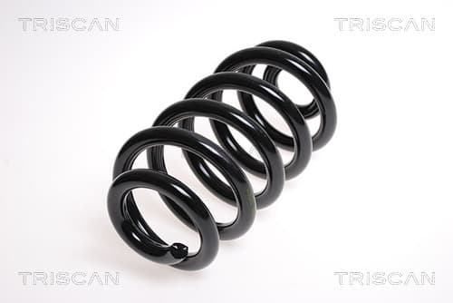 Spiralfjäder bak från TRISCAN