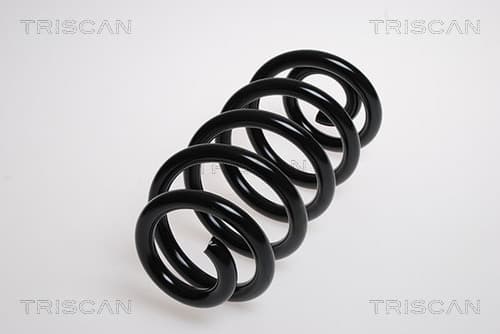 Spiralfjäder bak från TRISCAN