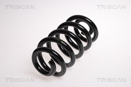 Spiralfjäder bak från TRISCAN