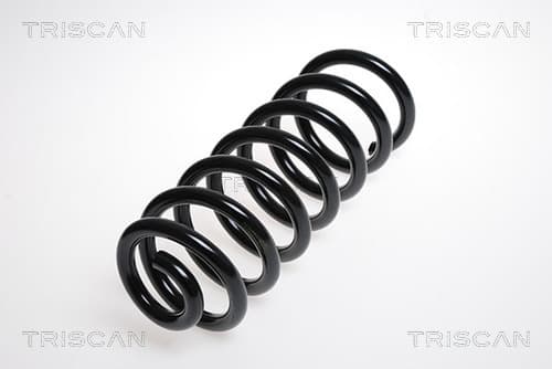 Spiralfjäder bak från TRISCAN