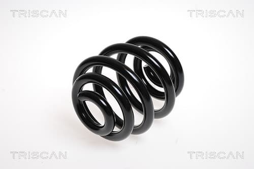 Spiralfjäder bak från TRISCAN