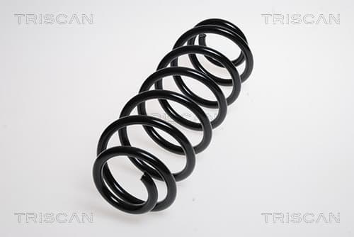 Spiralfjäder bak från TRISCAN