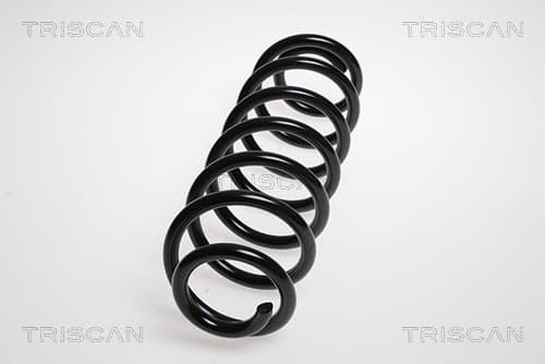 Spiralfjäder bak från TRISCAN