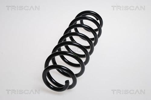 Spiralfjäder bak från TRISCAN