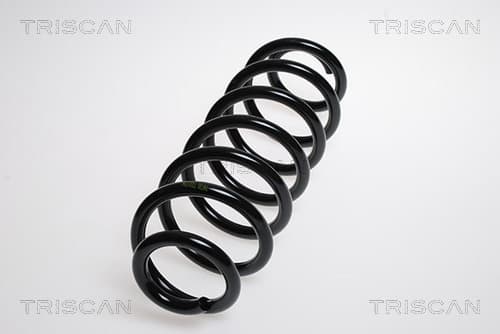 Spiralfjäder bak från TRISCAN