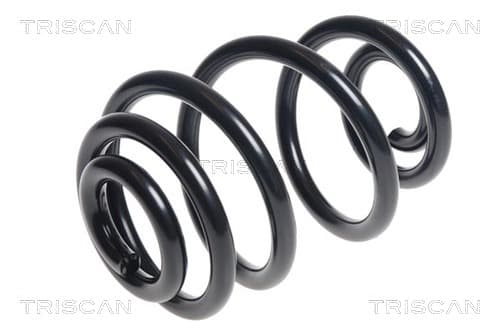 Spiralfjäder bak från TRISCAN