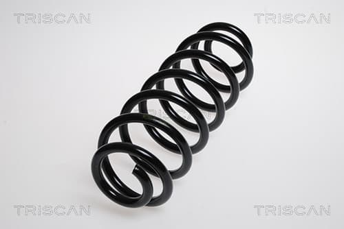 Spiralfjäder bak från TRISCAN